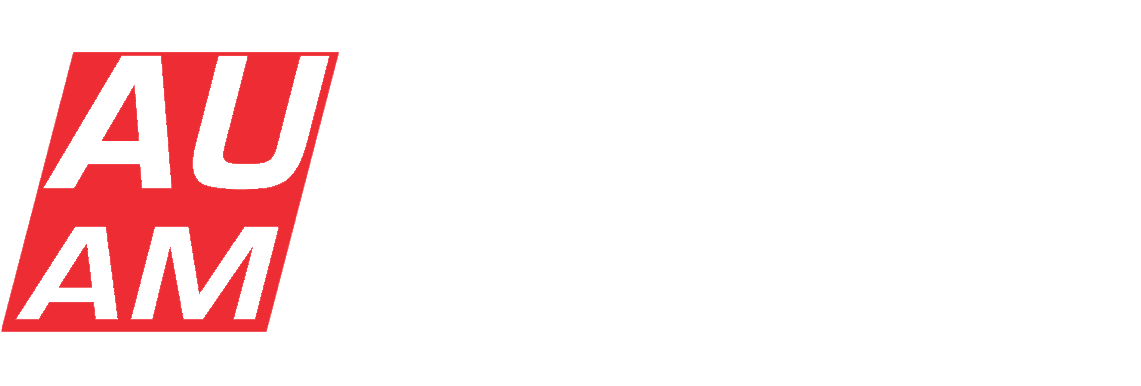 Autohaus am Kinzigbogen